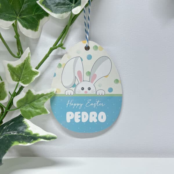 Easter Wooden Egg - Blue