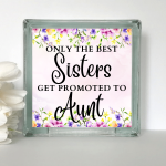 Only The Best Sisters Get Promoted - Glass Block