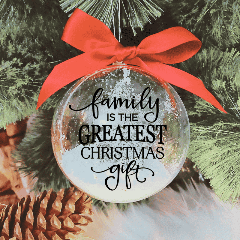 FAMILY_ISTHE_GIFT Family Is The Gift - 10cm Acrylic Bauble - Image 1