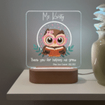 Owl Teacher - Personalised Lamp