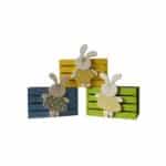 Small Wooden Bunny Crate